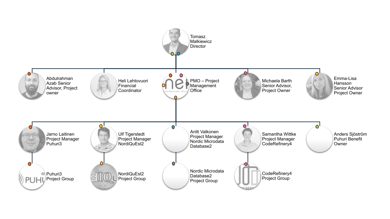 NeIC organisation
